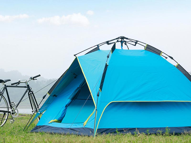 野营蕾丝视频免费下载